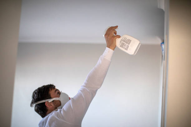Best Fast Mold Removal  in Saxapahaw, NC